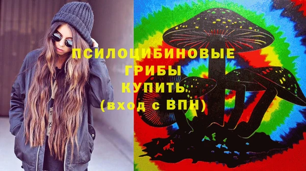 таблы Горняк