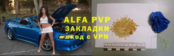 прущие грибы Горно-Алтайск