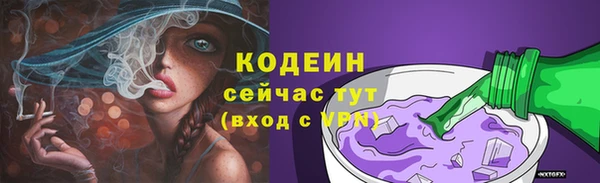 прущие грибы Горно-Алтайск