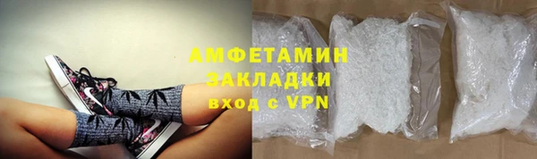 прущие грибы Горно-Алтайск