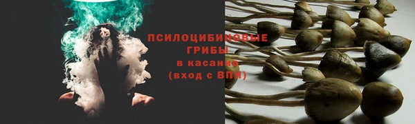 метадон Горнозаводск