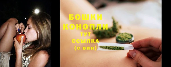 прущие грибы Горно-Алтайск