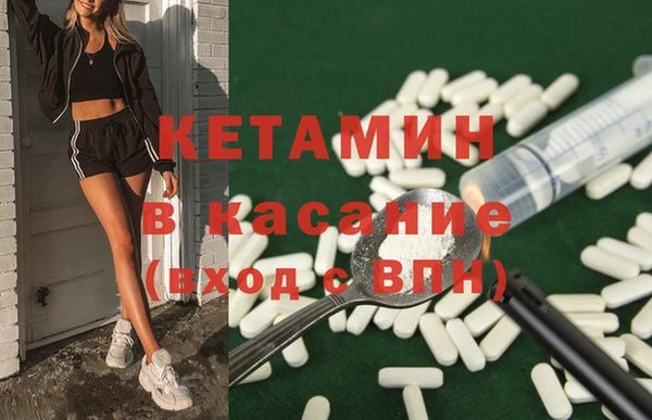 прущие грибы Горно-Алтайск