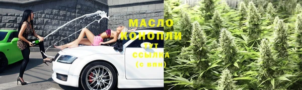 прущие грибы Горно-Алтайск