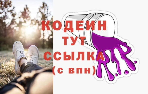 прущие грибы Горно-Алтайск