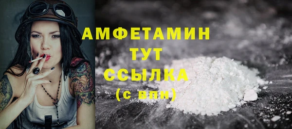 прущие грибы Горно-Алтайск