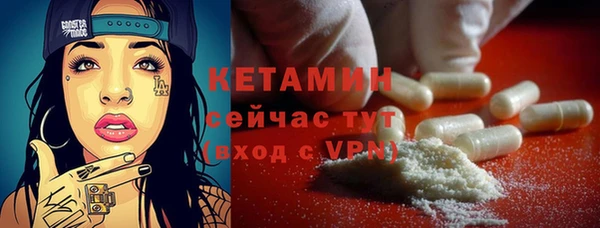 прущие грибы Горно-Алтайск