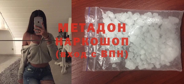 прущие грибы Горно-Алтайск