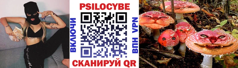 Псилоцибиновые грибы GOLDEN TEACHER  omg маркетплейс  Чехов 